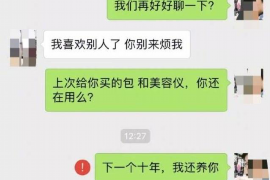 安平专业讨债公司有哪些核心服务？